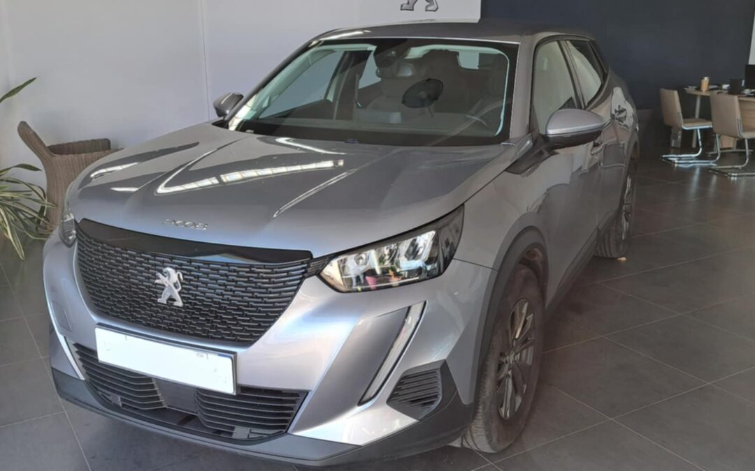 Peugeot 2008 ACTIVE BUSINESS